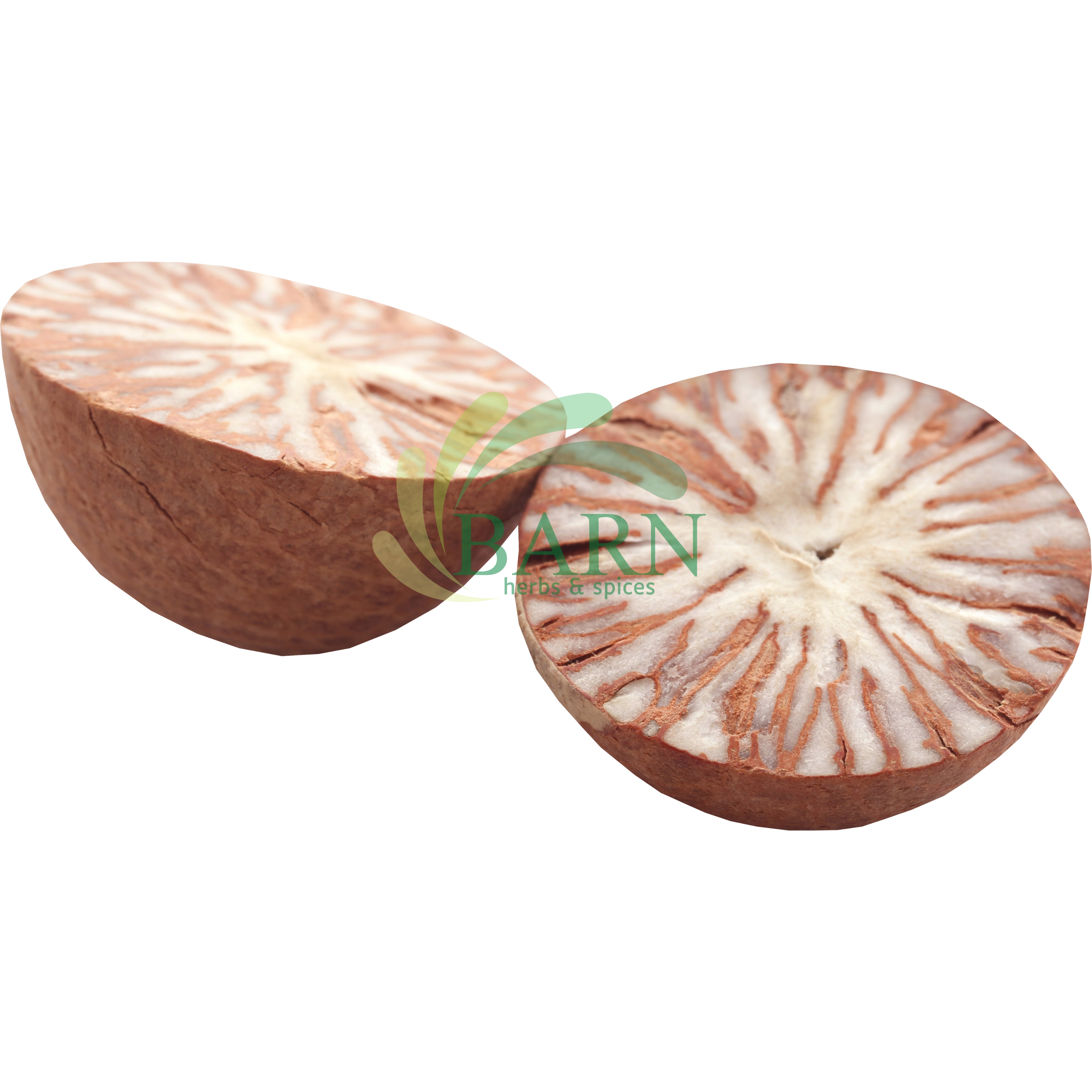 Betel Nut